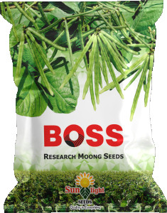 Boss